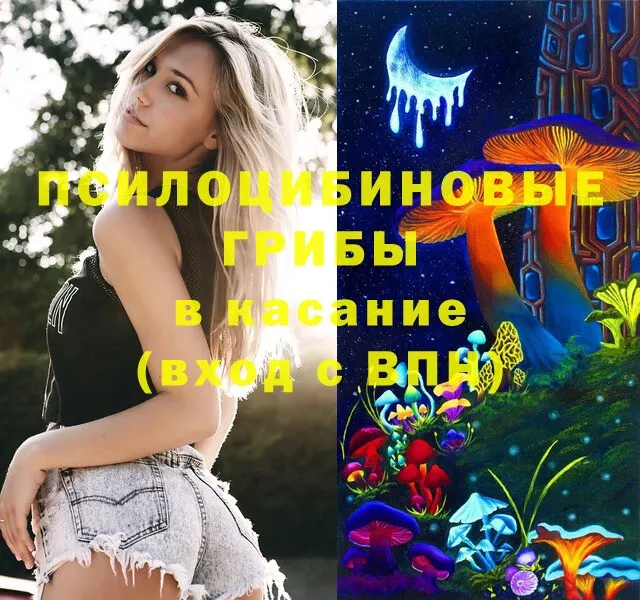 Псилоцибиновые грибы MAGIC MUSHROOMS  где найти   hydra как войти  Бугуруслан 